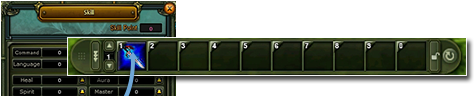 Skill Window
