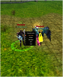 Player Character Option